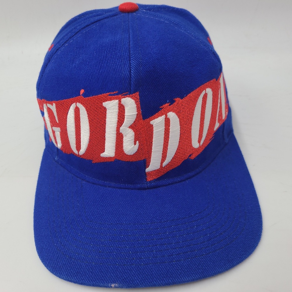 Vintage Jeff Gordon Hat Snapback (Fits Small) Chase Blue‎ NASCAR #24 Wrap Logo
